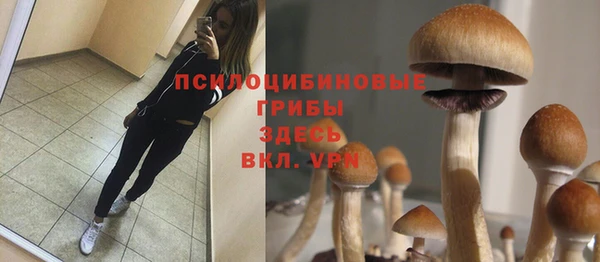 амфетамин Алексеевка