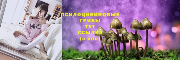 амфетамин Алексеевка