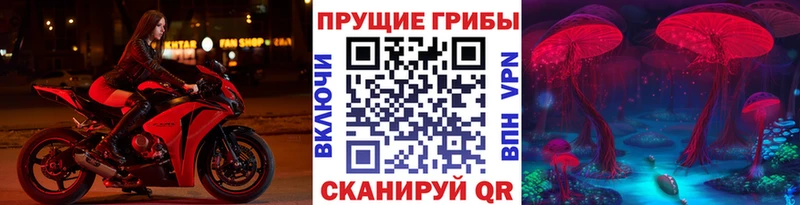 наркота  Егорьевск  Галлюциногенные грибы мухоморы 