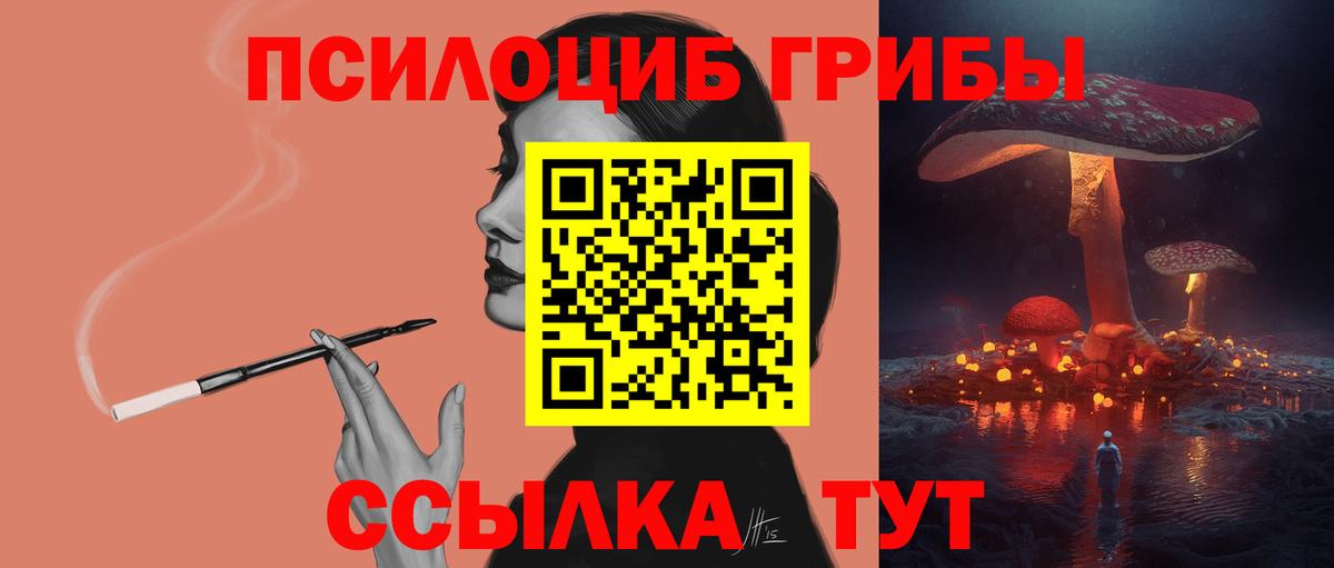 Егорьевск  Псилоцибиновые грибы Psilocybe  Вход с VPN  Псилоцибиновые грибы мухоморы 